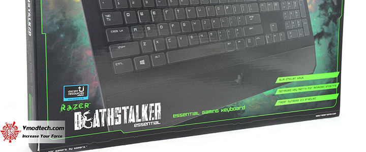 RAZER DeathStalker Essential 2014 Review