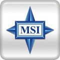 msi