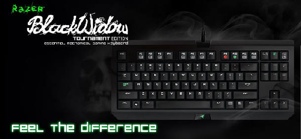 razer blackwidow tournamnt edition Ascenti Resources : ถึงเวลาเสริมทัพ อัพเกรดด้วยอาวุธคู่กายชิ้นใหม่จาก Razer 