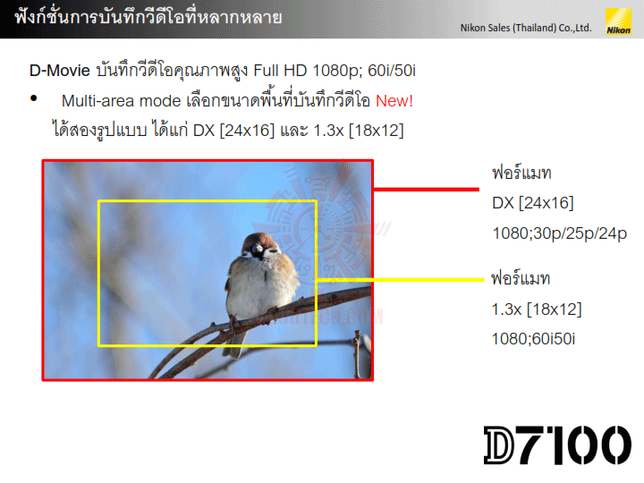 d7100 presentation v1 027 NIKON D7100 DX Flagship สำหรับช่างภาพแนวแอ๊คชั่นและกีฬา