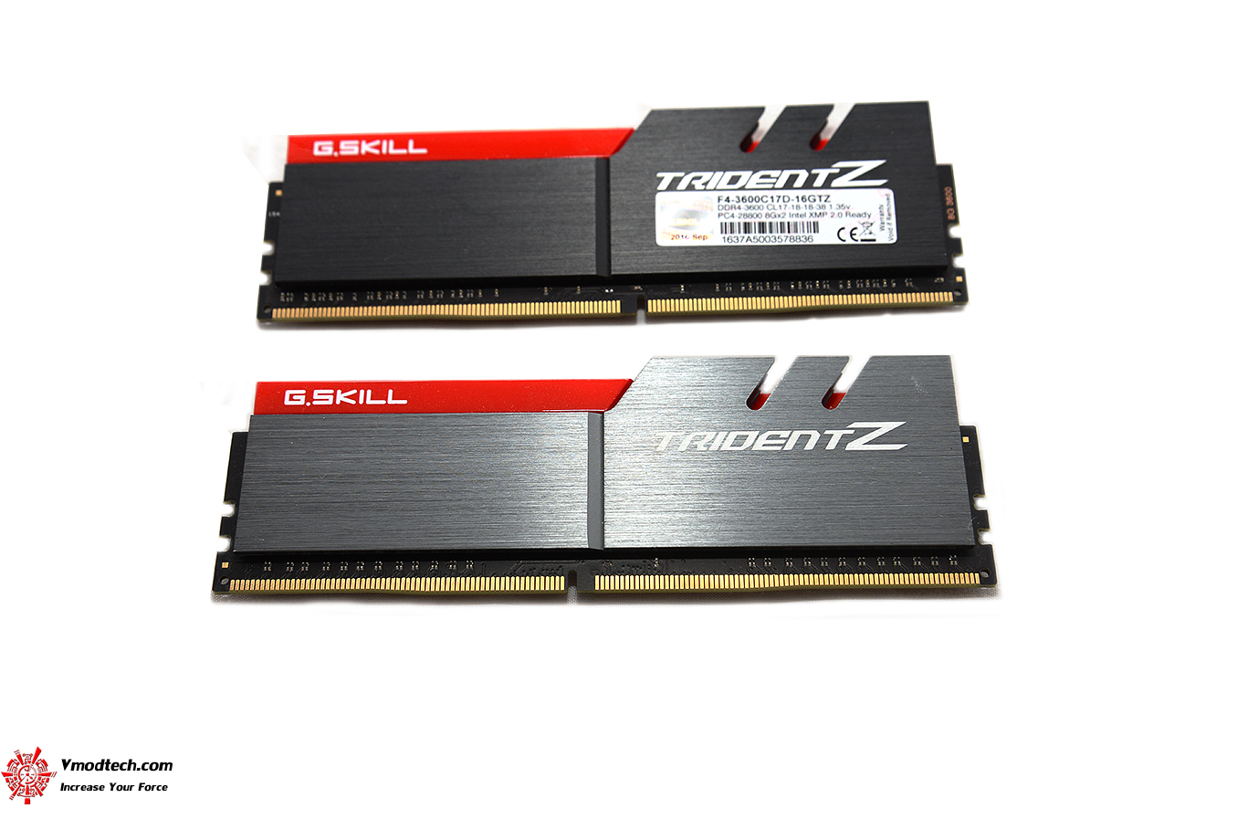 dsc 7552 G.SKILL Trident Z DDR4 3600MHz 16GB (8GBx2) 1.35v Review