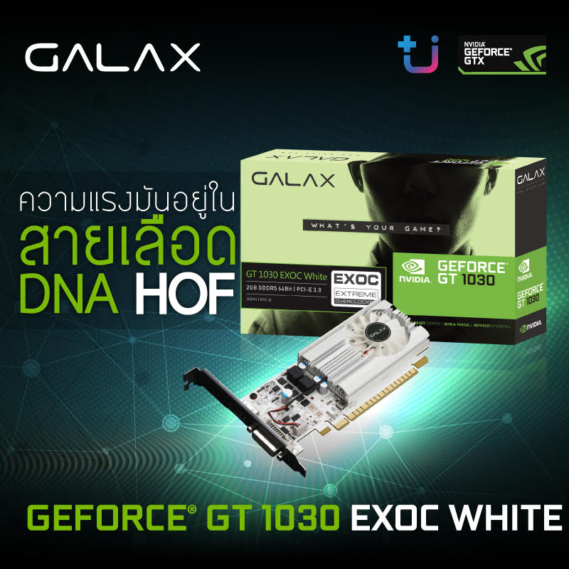 pr galax gt 1030 exoc white เปิดตัว GALAX GeForce GT 1030 EXOC White ที่ได้รับการถ่ายทอดสายเลือด DNA จาก HOF !!