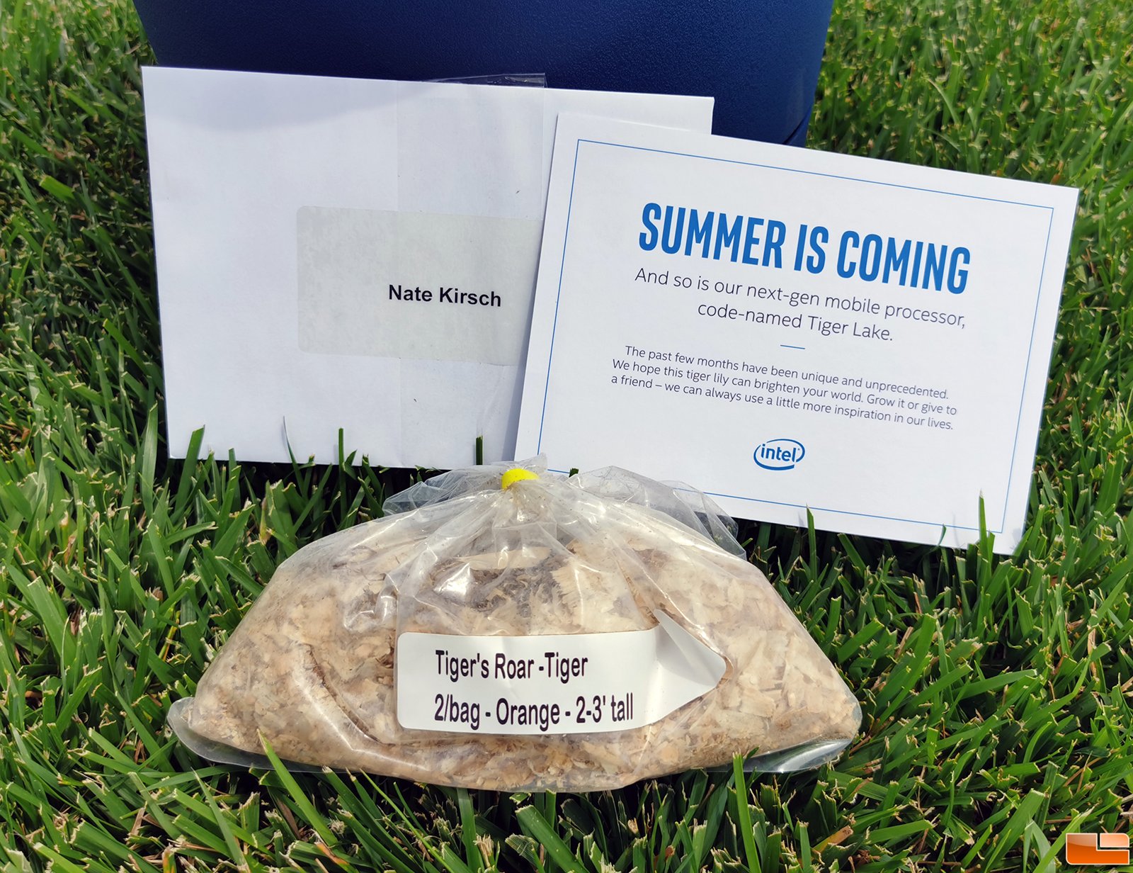 intel tiger lake promo เผยภาพคู่มือชุดคิทซีพียู Intel Tiger Lake ที่บอกใบ้อาจเปิดตัวในช่วงซัมเมอร์นี้  