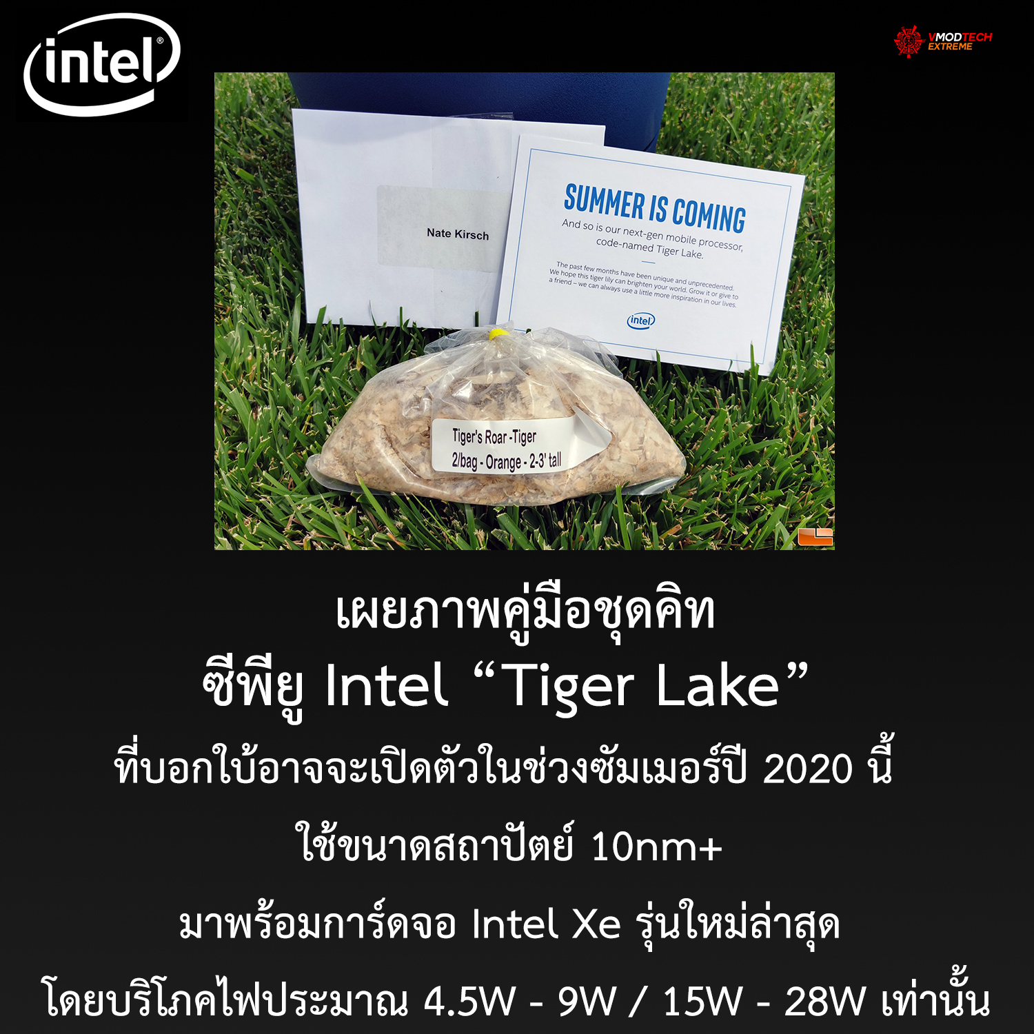 intel tiger lake summer 2020 เผยภาพคู่มือชุดคิทซีพียู Intel Tiger Lake ที่บอกใบ้อาจเปิดตัวในช่วงซัมเมอร์นี้  