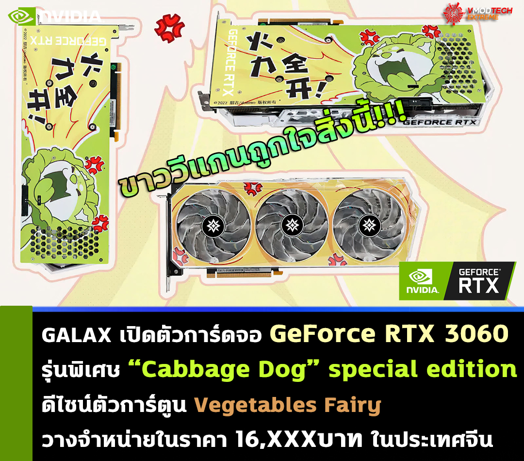 galax geforce rtx 3060 cabbage dog special edition vegetables fairy GALAX เปิดตัวการ์ดจอ GALAX GeForce RTX 3060 รุ่นพิเศษ “Cabbage Dog” special edition ที่นำเอาตัวการ์ตูน Vegetables Fairy มาใส่ลวดลายดีไซน์ที่สวยงาม 