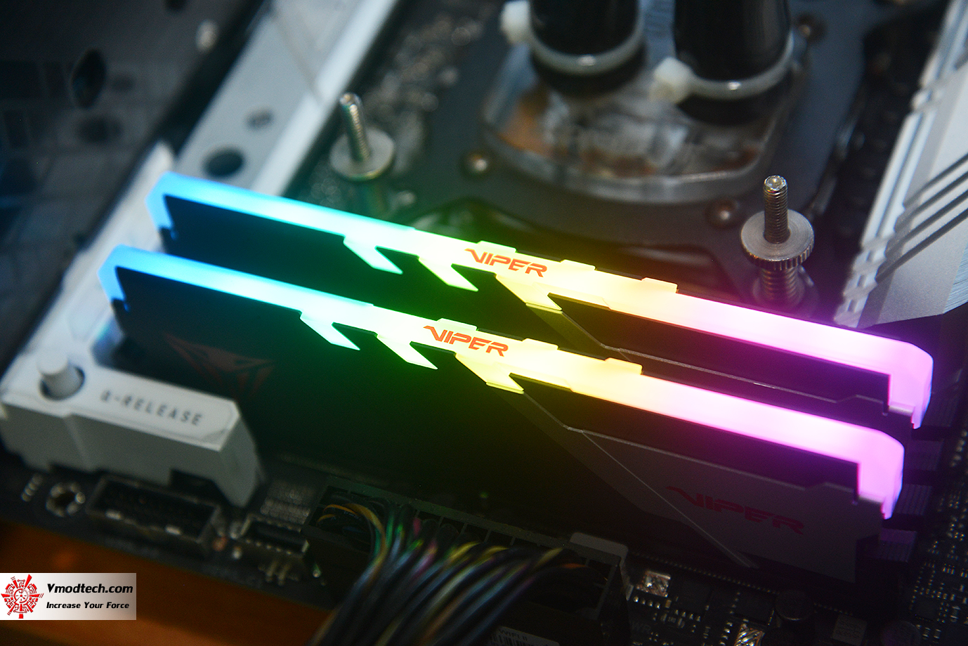 dsc 6530 PATRIOT VIPER VENOM RGB 32GB (16GBx2) DDR5 5600MHZ CL36 REVIEW