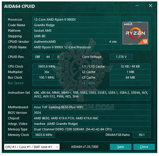 aida64 AMD RYZEN 9 9900X Test With AMD B650 Chipset Review